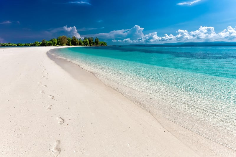 Enchanting Beach Portrait